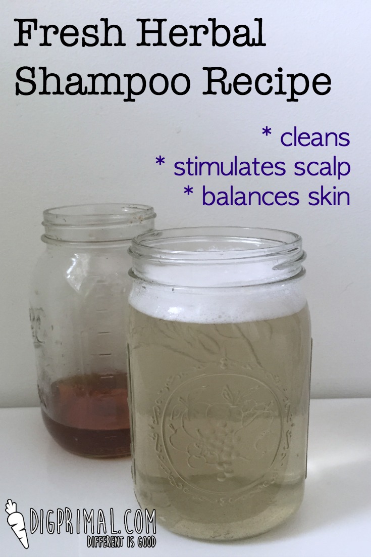 Fresh Herbal Shampoo Recipe